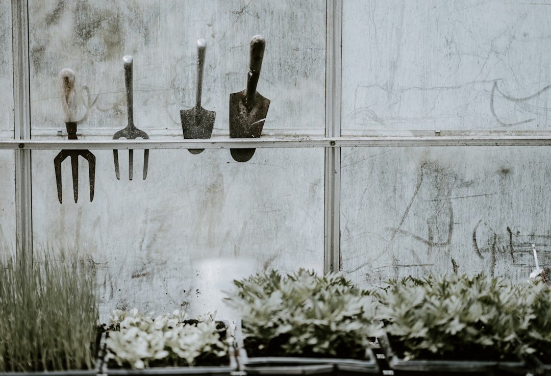 Photo Gardening fork