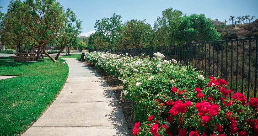 Photo Image: Garden Fence