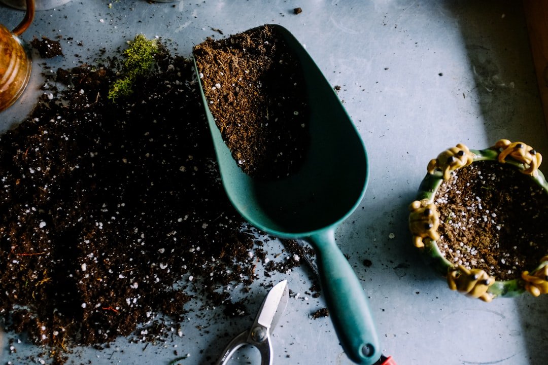 Photo Image: Garden tools