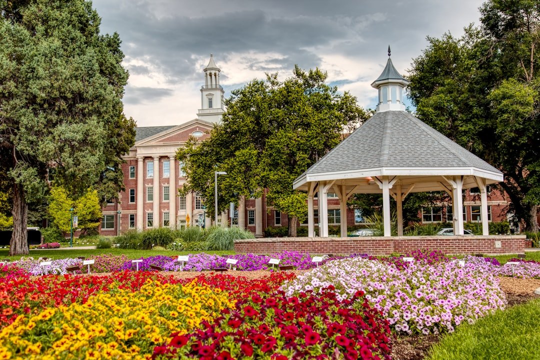 Photo Flower bed