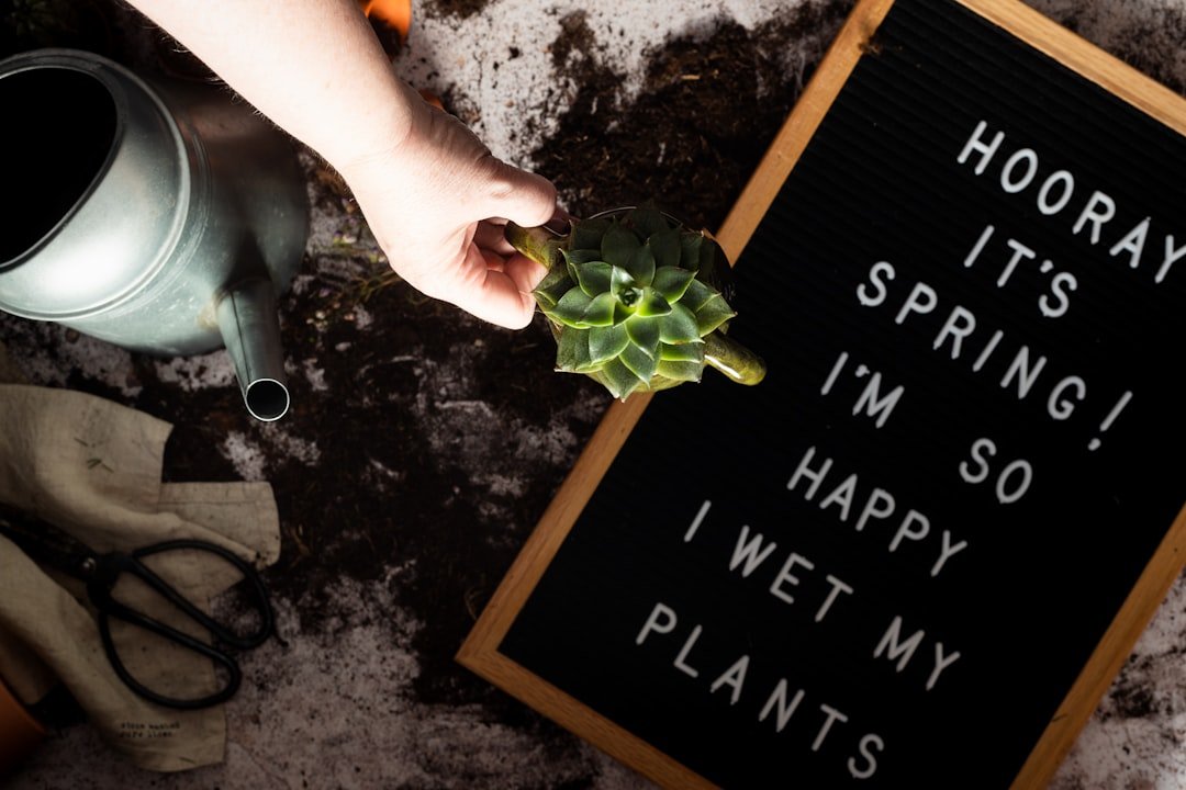Photo Plants, Soil