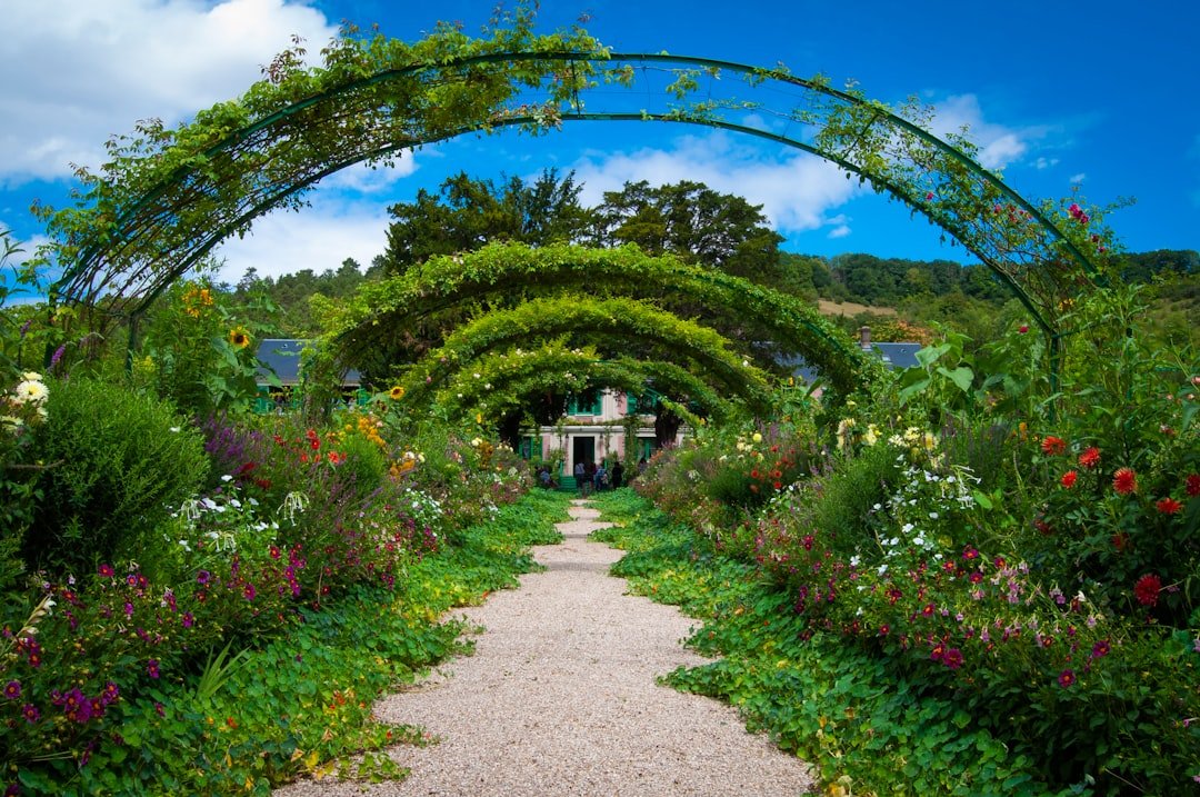 Photo Image: Garden, Umbrella