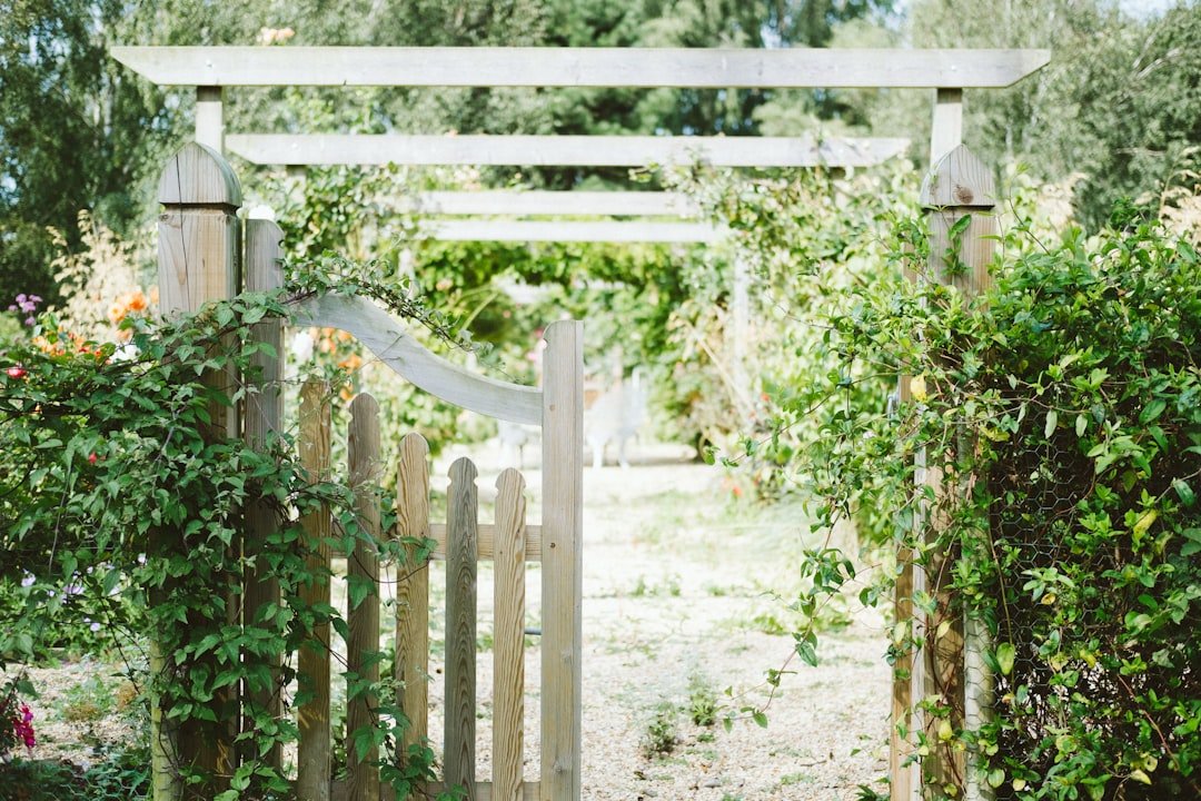 Photo Image: Garden tools