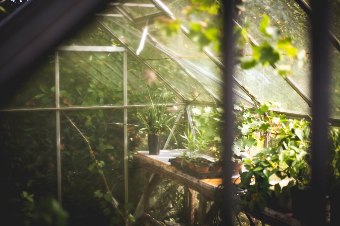 Photo Image: Garden tools